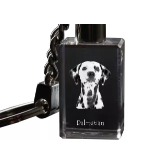 Dalmatiner, Dalmatinac - Schlüsselanhänger aus Kristall mit Hundefoto, beleuchteter Schlüsselanhänger, einzigartiges Geschenk der Marke Art-Dog