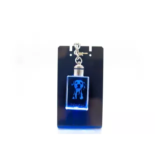 Dalmatiner, Dalmatinac - Schlüsselanhänger aus Kristall mit Hundefoto, beleuchteter Schlüsselanhänger, einzigartiges Geschenk der Marke Art-Dog