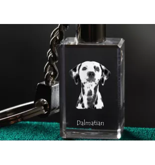 Dalmatiner, Dalmatinac - Schlüsselanhänger aus Kristall mit Hundefoto, beleuchteter Schlüsselanhänger, einzigartiges Geschenk der Marke Art-Dog