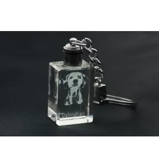Dalmatien - Porte-clés en cristal avec photo de chien, porte-clés lumineux, cadeau unique de la marque Art-Dog