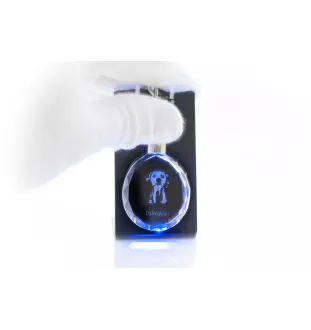 Dalmatian, Carriage Dog, Spotted Coach Dog - pendant with a photo of a dog, crystal key ring in a gift box, a unique gift by Art-Dog