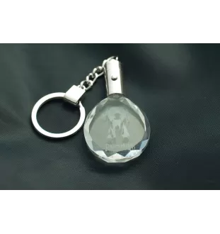 Dalmatiner, Dalmatinac - Anhänger mit einem Foto eines Hundes, Schlüsselanhänger aus Kristall in einer Geschenkbox, ein einzigartiges Geschenk von Art-Dog