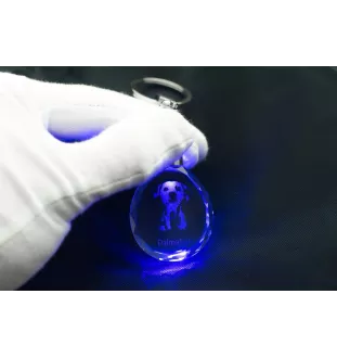 Dalmatian, Carriage Dog, Spotted Coach Dog - pendant with a photo of a dog, crystal key ring in a gift box, a unique gift by Art-Dog