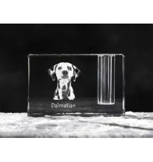 Dalmatian, Carriage Dog, Spotted Coach Dog - Pen stand, crystal organiser with dog photo, unique desk decoration by Art-Dog brand
