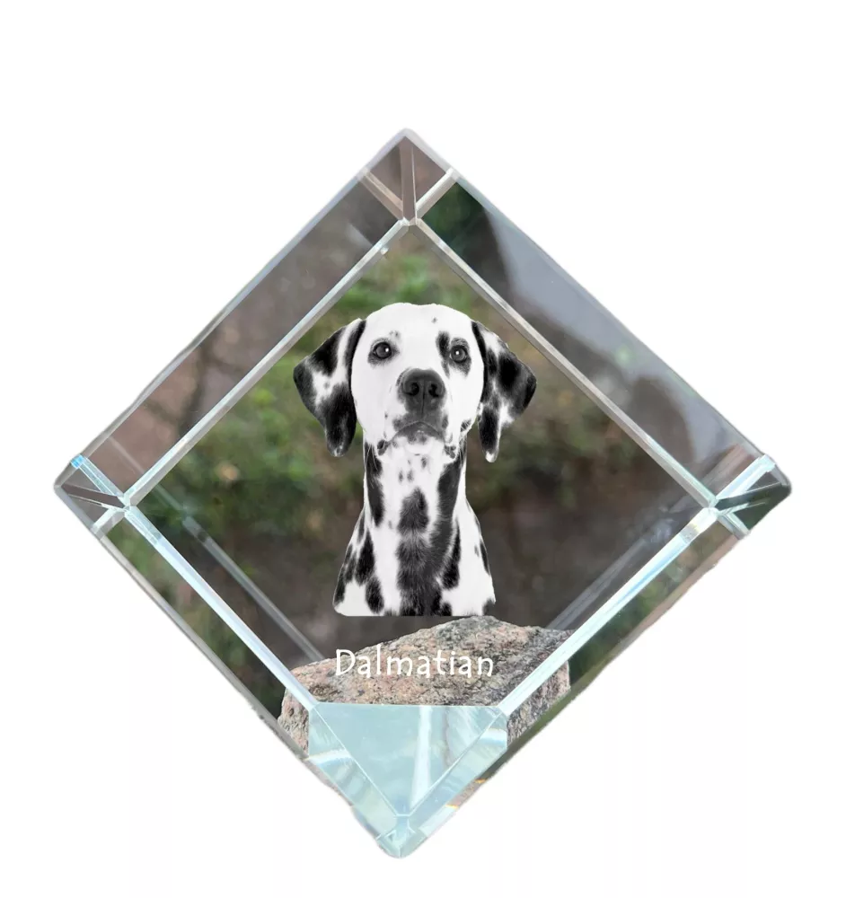 Dalmatien - un cube de cristal avec une photo, une photo de cheval dans le cristal, un presse-papiers cubique de la marque Art-Dog