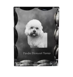 Dandie Dinmont Terrier, Hindlee Terrier - crystal with a picture of a dog, glass statuette with a picture, unique frame with a picture from Art-Dog brand