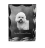 Dandie Dinmont Terrier, Hindlee Terrier - crystal with a picture of a dog, glass statuette with a picture, unique frame with a picture from Art-Dog brand