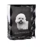 Dandie Dinmont Terrier - Kristall mit einem Hundebild, Glasstatuette mit einem Bild, einzigartiger Bilderrahmen der Marke Art-Dog