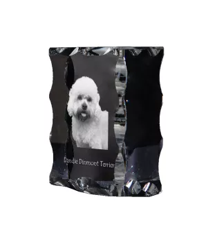 Dandie Dinmont Terrier, Hindlee Terrier - crystal with a picture of a dog, glass statuette with a picture, unique frame with a picture from Art-Dog brand