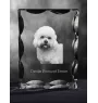 Dandie Dinmont Terrier, Hindlee Terrier - crystal with a picture of a dog, glass statuette with a picture, unique frame with a picture from Art-Dog brand