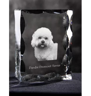 Dandie Dinmont Terrier ramka kryształowa z psem Art-Dog