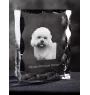 Dandie Dinmont Terrier ramka kryształowa z psem Art-Dog