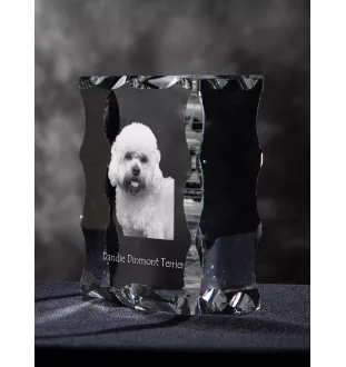 Dandie Dinmont Terrier - cristal avec photo de chien, statuette en verre avec photo, cadre exceptionnel avec photo de la marque Art-Dog