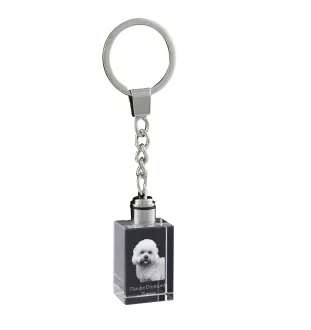 Dandie Dinmont Terrier, Hindlee Terrier - Crystal key ring with dog photo, illuminated key ring, unique gift by Art-Dog brand
