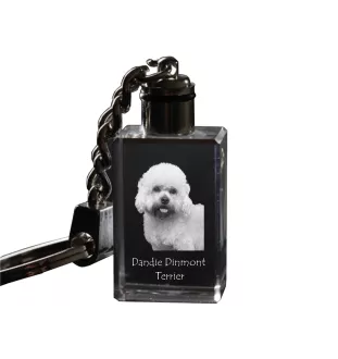Dandie Dinmont Terrier - Schlüsselanhänger aus Kristall mit Hundefoto, beleuchteter Schlüsselanhänger, einzigartiges Geschenk der Marke Art-Dog