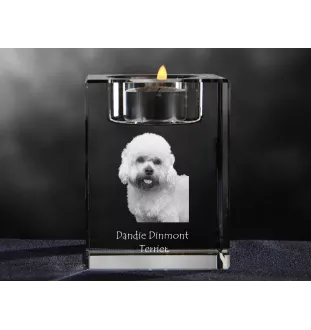 Dandie Dinmont Terrier, Hindlee Terrier - Candle holder with dog photo, crystal tealight holder, personalised gift by Art-Dog brand