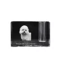 Dandie Dinmont Terrier, Hindlee Terrier - Pen stand, crystal organiser with dog photo, unique desk decoration by Art-Dog brand