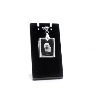 Dandie Dinmont Terrier, Hindlee Terrier - Crystal dog pendant, photo necklace, unique jewellery by Art-Dog