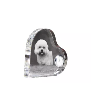 Dandie Dinmont Terrier zegar w kształcie serca z psem Art-Dog