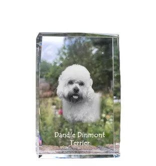 Dandie Dinmont Terrier - Kristall mit einem Hundebild, Bild im Glas, moderne Ausstellung des Art-Dog-Bildes.