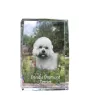 Dandie Dinmont Terrier - Kristall mit einem Hundebild, Bild im Glas, moderne Ausstellung des Art-Dog-Bildes.
