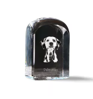 Dalmatien - un cube de cristal avec une photo, une photo de chien dans le cristal, un presse-papiers cubique de la marque Art-Dog