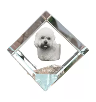 Dandie Dinmont Terrier, Hindlee Terrier - crystal cube with a photo, photo of a horse in crystal, cubic paperweight from Art-Dog brand