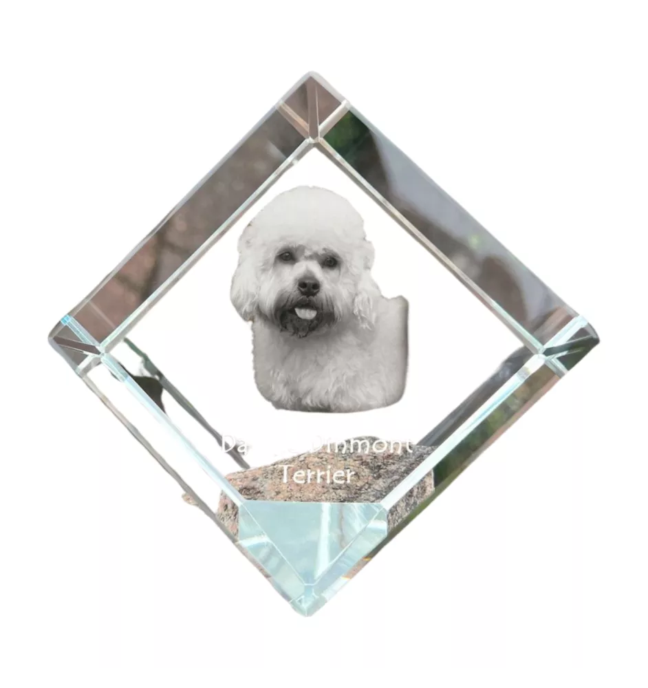 Dandie Dinmont Terrier - un cube de cristal avec une photo, une photo de cheval dans le cristal, un presse-papiers cubique de la marque Art-Dog