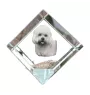Dandie Dinmont Terrier, Hindlee Terrier - crystal cube with a photo, photo of a horse in crystal, cubic paperweight from Art-Dog brand