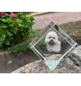 Dandie Dinmont Terrier, Hindlee Terrier - crystal cube with a photo, photo of a horse in crystal, cubic paperweight from Art-Dog brand