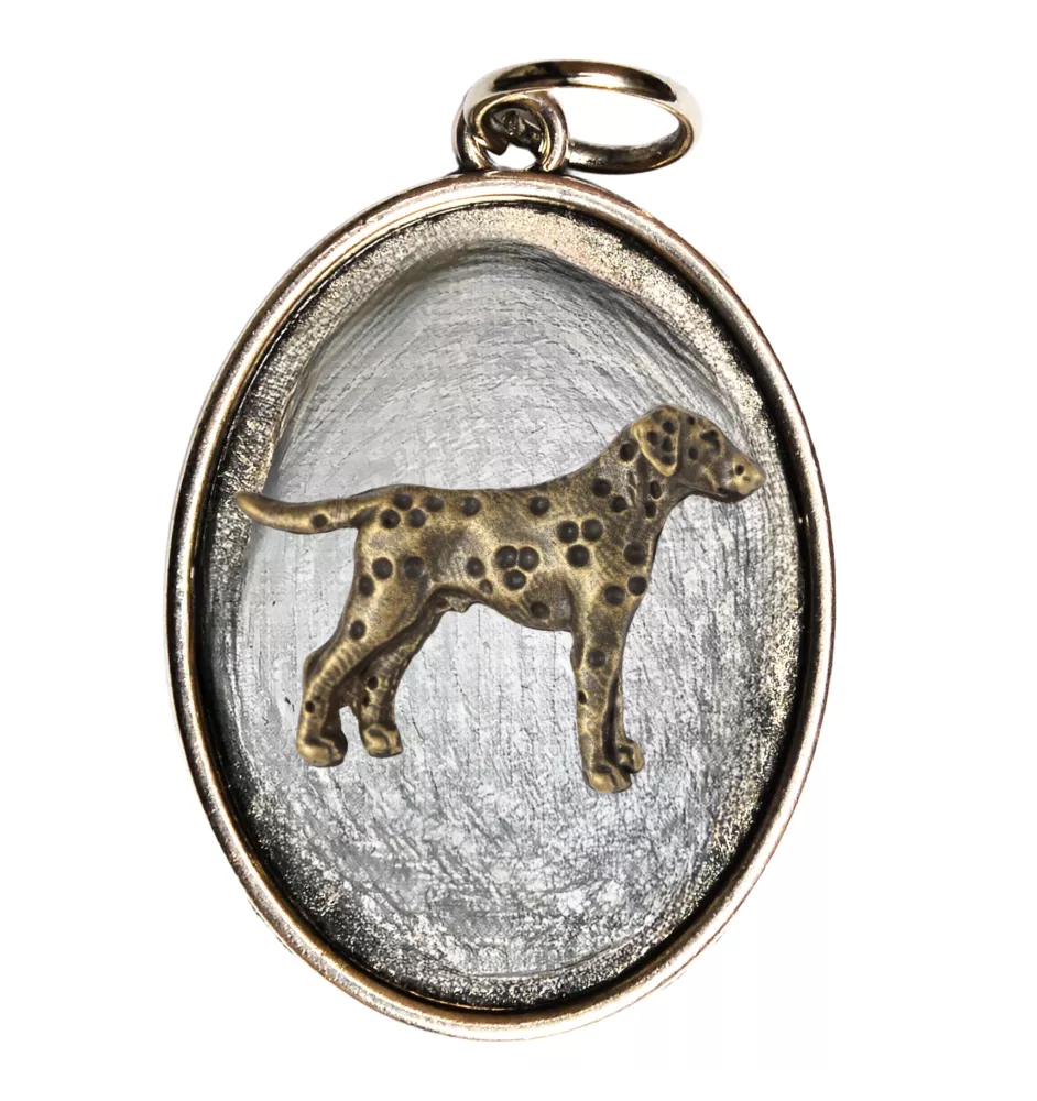 Dalmatian, Carriage Dog, Spotted Coach Dog I - necklace with a dog, pendant for a dog mom, unique jewelry from the Art-Dog brand