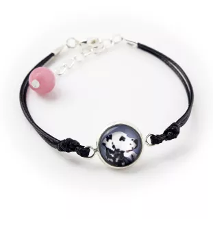 Dalmatian, Carriage Dog, Spotted Coach Dog - a set of jewelry in a box, necklace, earrings, bracelet, products from the Art-Dog brand