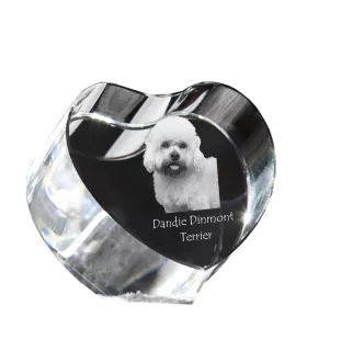 Dandie Dinmont Terrier - une photo de chien dans un cristal, un cœur en cristal, un cadre photo exceptionnel de la marque Art-Dog