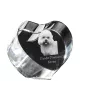 Dandie Dinmont Terrier - une photo de chien dans un cristal, un cœur en cristal, un cadre photo exceptionnel de la marque Art-Dog