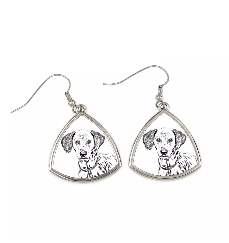 Dalmatien - boucles d'oreilles avec chien, boucles d'oreilles pendantes avec photo, bijoux personnalisés avec impression de la marque Art-Dog