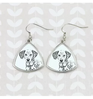 Dalmatian, Carriage Dog, Spotted Coach Dog - dog earrings, hanging earrings with a picture, personalized jewelry with Art-Dog brand print