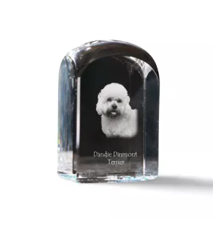 Dandie Dinmont Terrier, Hindlee Terrier - crystal cube with a photo, photo of a dog in crystal, cubic paperweight from Art-Dog brand