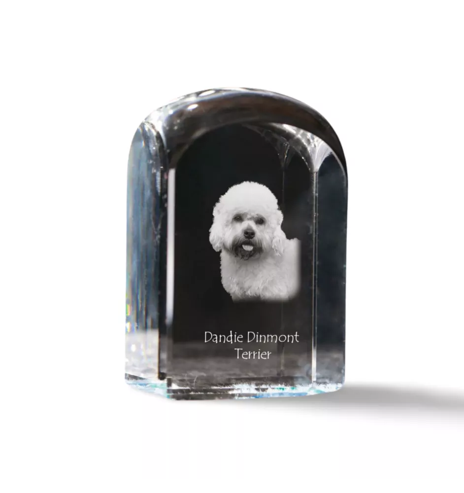 Dandie Dinmont Terrier, Hindlee Terrier - crystal cube with a photo, photo of a dog in crystal, cubic paperweight from Art-Dog brand