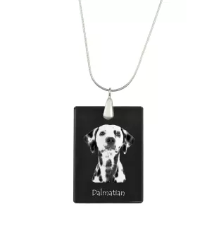 Dalmatian, Carriage Dog, Spotted Coach Dog - Crystal pendant with dog, silver necklace with photo, personalised pendant by Art-Dog brand