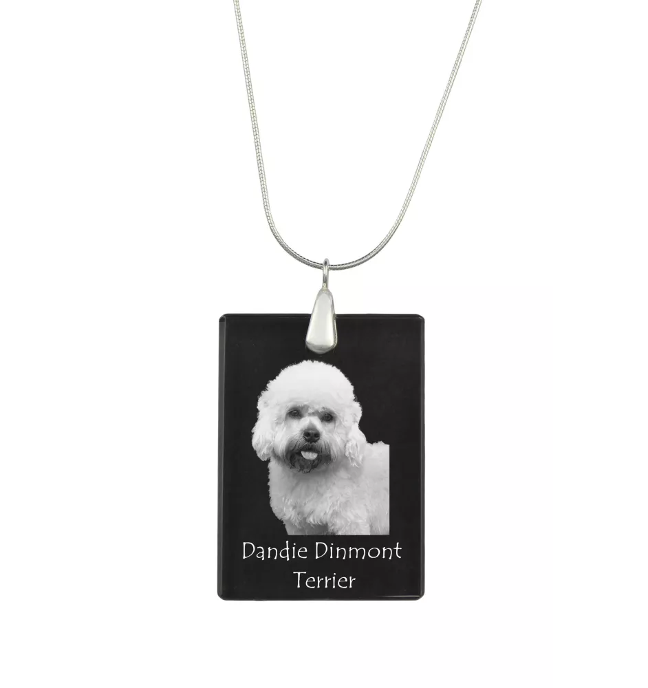 Dandie Dinmont Terrier, Hindlee Terrier - Crystal pendant with dog, silver necklace with photo, personalised pendant by Art-Dog brand