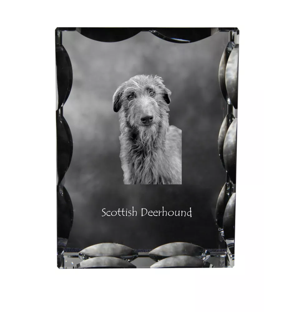 Deerhound, Schottischer Hirschhund, Scottish Deerhound - Kristall mit einem Hundebild, Glasstatuette mit einem Bild, einzigartiger Bilderrahmen der Marke Art-Dog