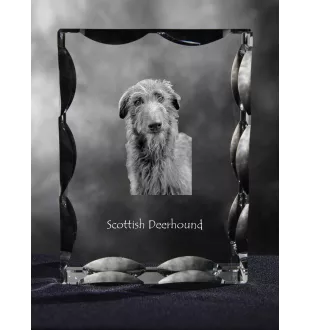 Deerhound, Schottischer Hirschhund, Scottish Deerhound - Kristall mit einem Hundebild, Glasstatuette mit einem Bild, einzigartiger Bilderrahmen der Marke Art-Dog