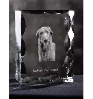 Deerhound, Scottish Deerhound - crystal with a picture of a dog, glass statuette with a picture, unique frame with a picture from Art-Dog brand