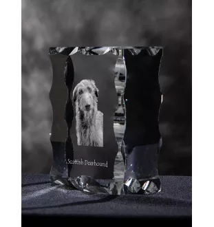 Deerhound, Schottischer Hirschhund, Scottish Deerhound - Kristall mit einem Hundebild, Glasstatuette mit einem Bild, einzigartiger Bilderrahmen der Marke Art-Dog