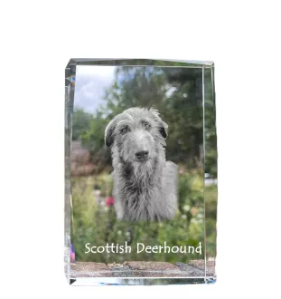 Deerhound, Schottischer Hirschhund, Scottish Deerhound - Kristall mit einem Hundebild, Bild im Glas, moderne Ausstellung des Art-Dog-Bildes.