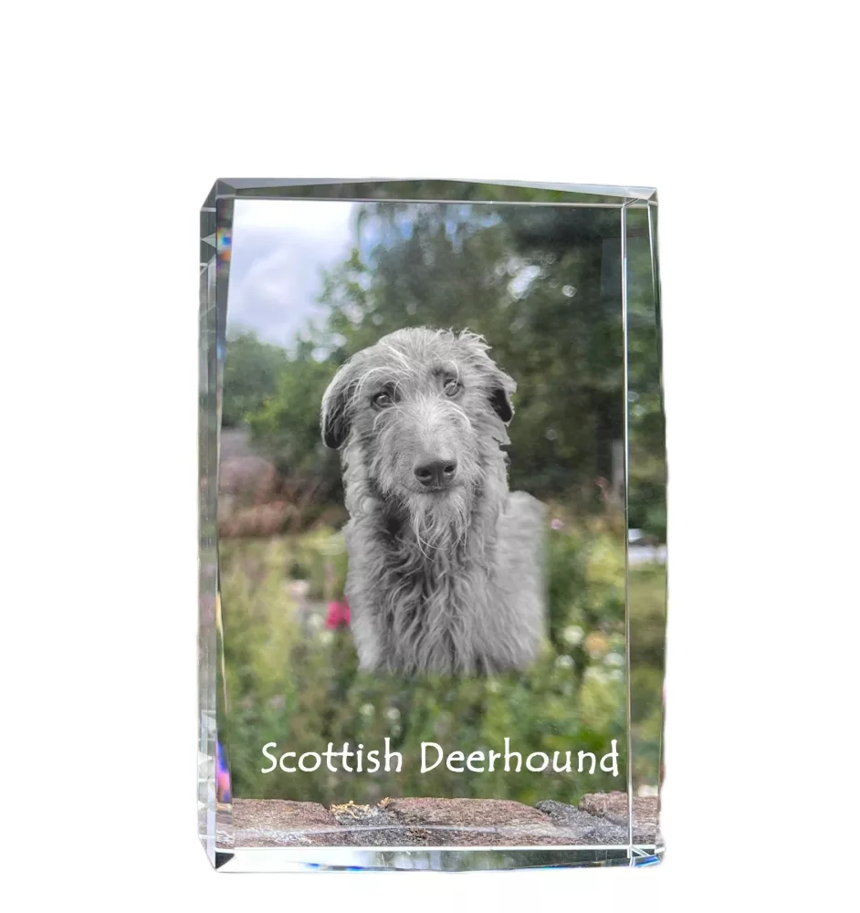 Deerhound, Scottish Deerhound - crystal with a picture of a dog, photo in glass, modern exhibition of Art-Dog brand photo