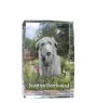 Deerhound, Scottish Deerhound - crystal with a picture of a dog, photo in glass, modern exhibition of Art-Dog brand photo