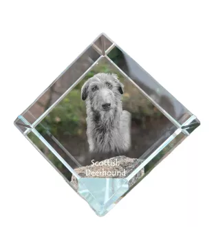Deerhound, Schottischer Hirschhund, Scottish Deerhound - Kristallwürfel mit Bild, Pferdebild im Kristall, sechseckiger Papierclip der Marke Art-Dog