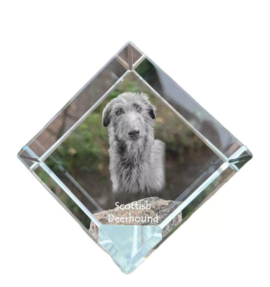 Deerhound, Scottish Deerhound - crystal cube with a photo, photo of a horse in crystal, cubic paperweight from Art-Dog brand