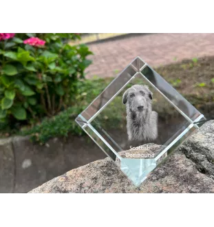 Deerhound, Schottischer Hirschhund, Scottish Deerhound - Kristallwürfel mit Bild, Pferdebild im Kristall, sechseckiger Papierclip der Marke Art-Dog